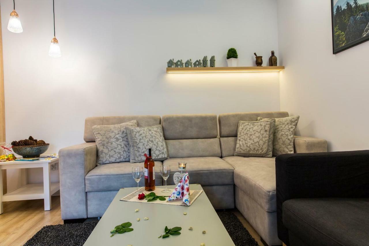 Apartament Pajo I -Rezydencja Tatry--Grota Solna--Taras--Garaz Podziemny Закопане Экстерьер фото